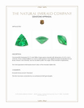 0.19 Ct. Emerald from Afghanistan Appraisal