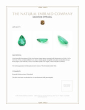 0.84 Ct. Emerald from Zambia Appraisal