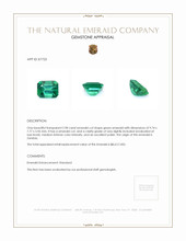 2.98 Ct. Emerald from Zambia Appraisal