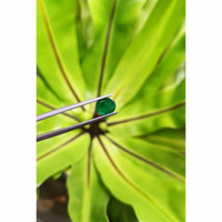 1.11 Ct. Cabochon Emerald from Pakistan Life Style