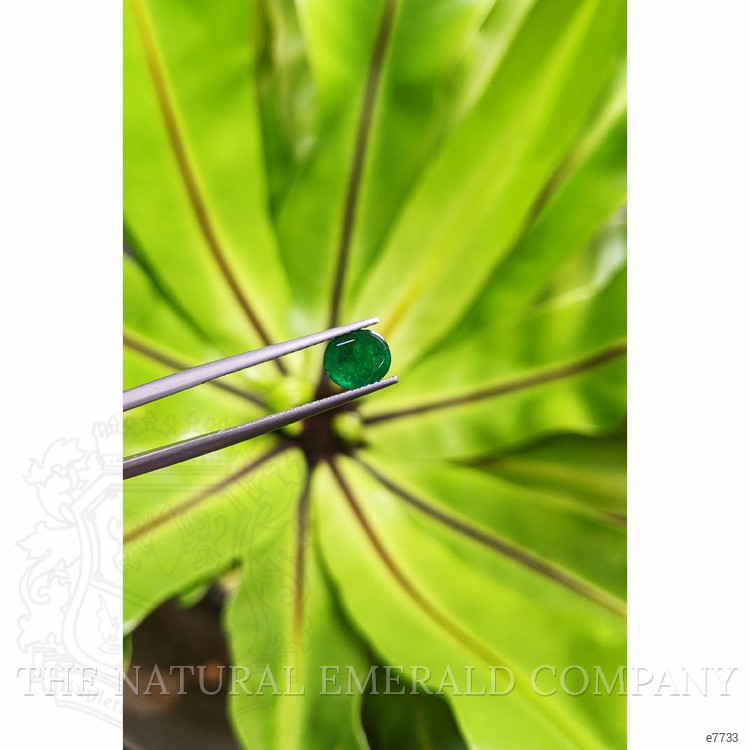 1.11 Ct. Cabochon Emerald from Pakistan