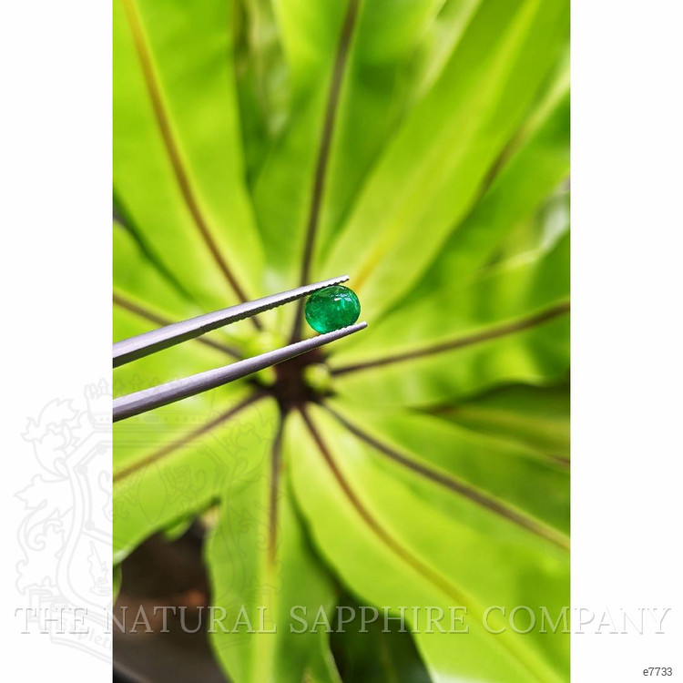 1.11 Ct. Cabochon Emerald from Pakistan