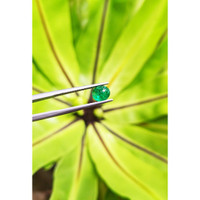 1.15 Ct. Cabochon Emerald from Pakistan Life Style