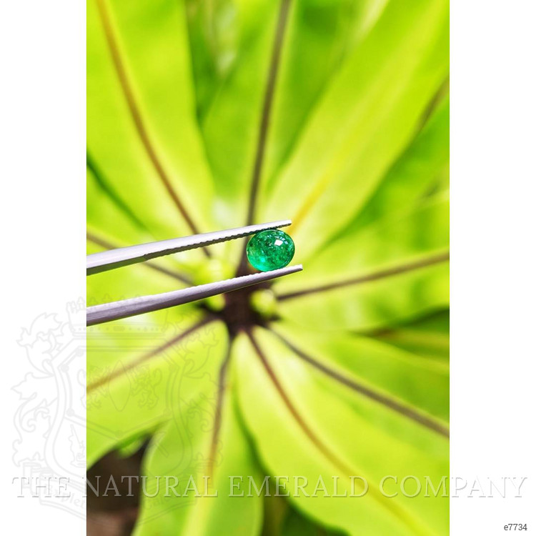 1.15 Ct. Cabochon Emerald from Pakistan