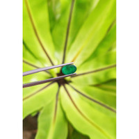 1.11 Ct. Cabochon Emerald from Pakistan Life Style