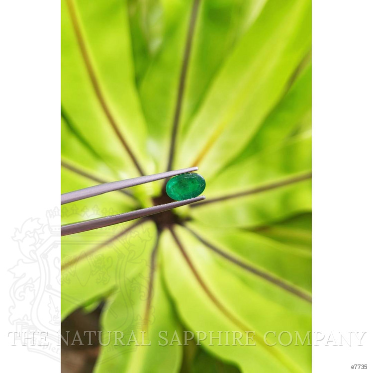 1.11 Ct. Cabochon Emerald from Pakistan