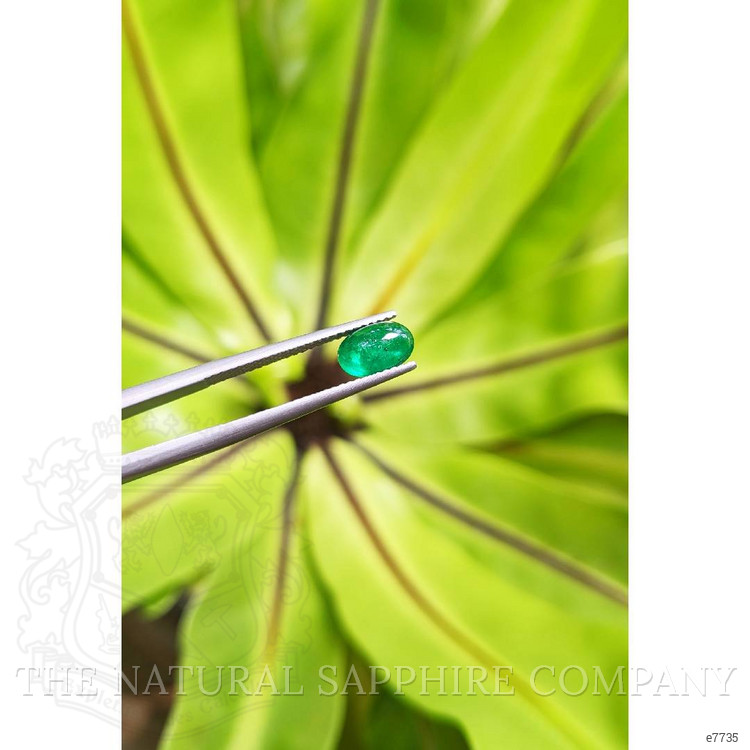 1.11 Ct. Cabochon Emerald from Pakistan