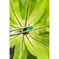 1.04 Ct. Cabochon Emerald from Pakistan Life Style