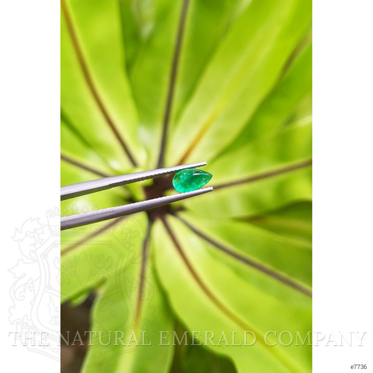 1.04 Ct. Cabochon Emerald from Pakistan