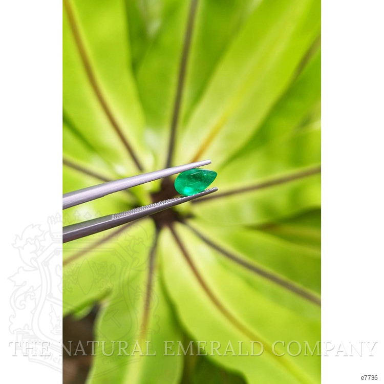 1.04 Ct. Cabochon Emerald from Pakistan