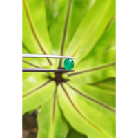 0.73 Ct. Cabochon Emerald from Pakistan Life Style
