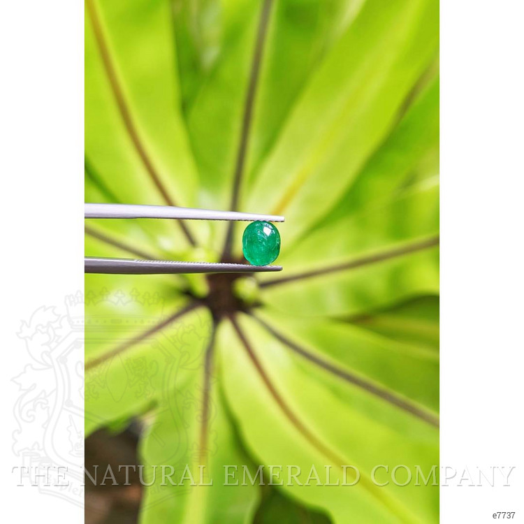 0.73 Ct. Cabochon Emerald from Pakistan