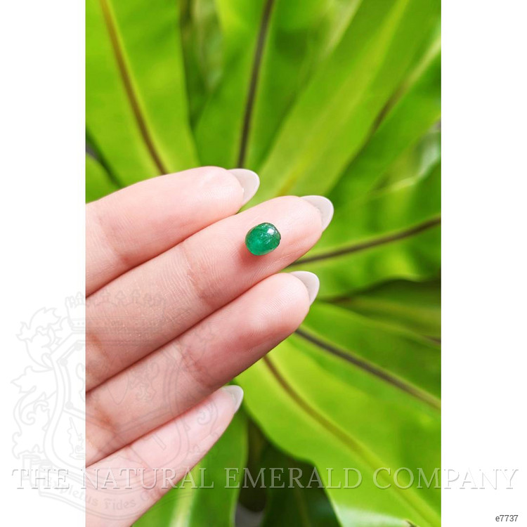 0.73 Ct. Cabochon Emerald from Pakistan