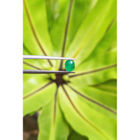0.73 Ct. Cabochon Emerald from Pakistan Life Style