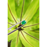 1.06 Ct. Cabochon Emerald from Pakistan Life Style