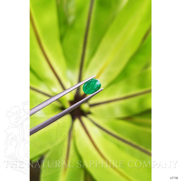 1.06 Ct. Cabochon Emerald from Pakistan