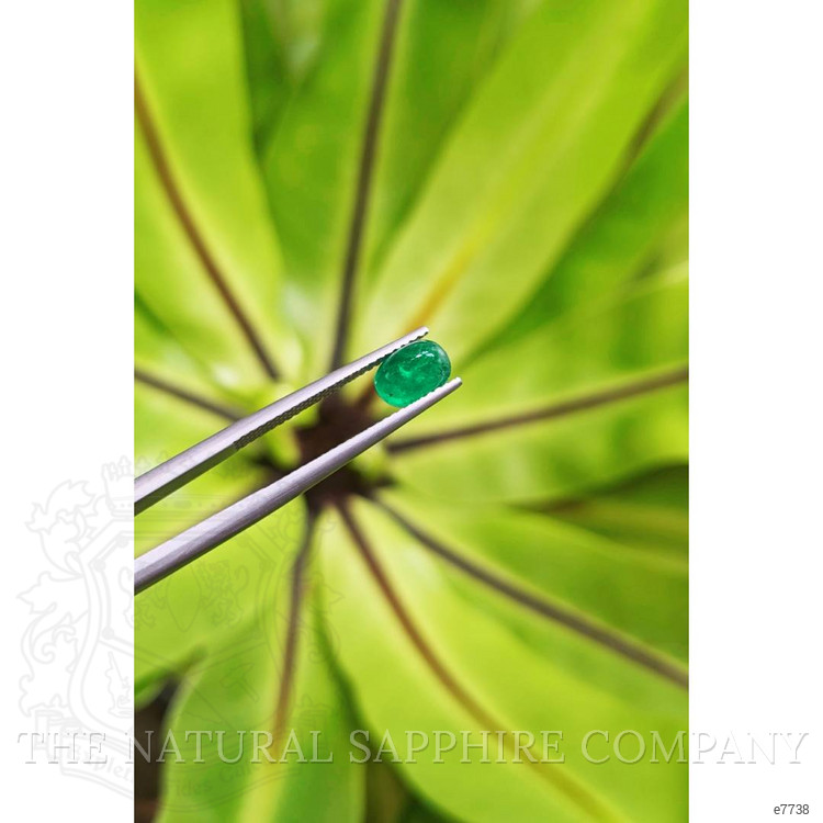 1.06 Ct. Cabochon Emerald from Pakistan