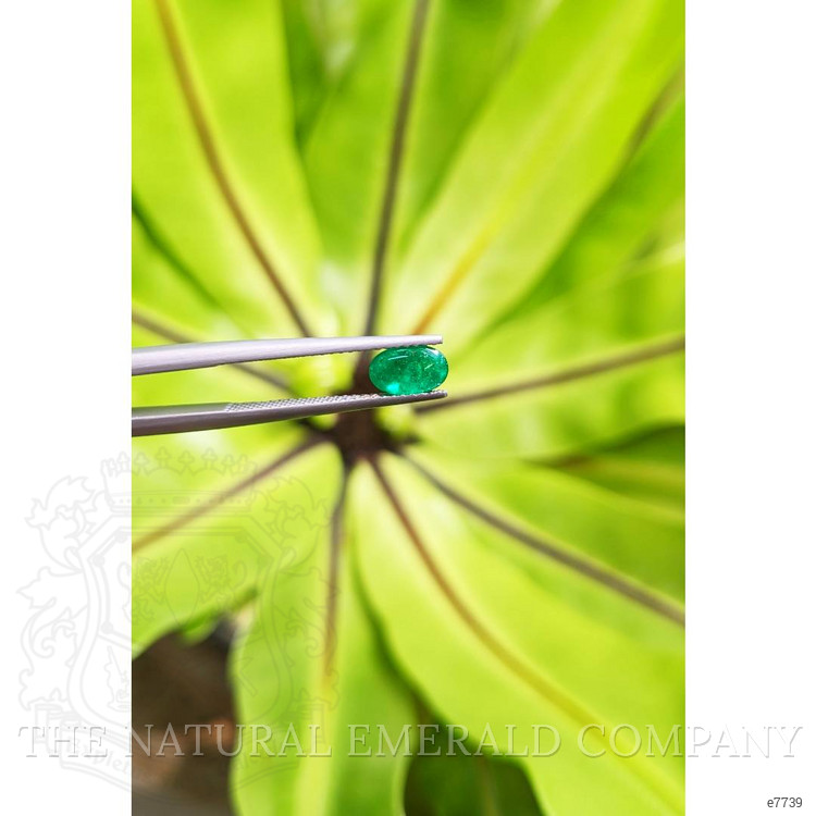 0.80 Ct. Cabochon Emerald from Pakistan