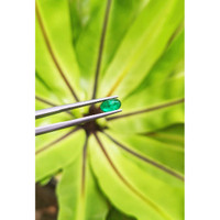 0.80 Ct. Cabochon Emerald from Pakistan Life Style