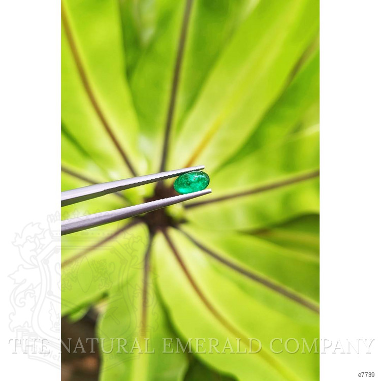 0.80 Ct. Cabochon Emerald from Pakistan