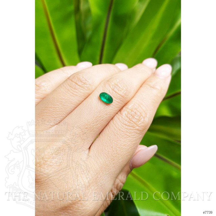 0.80 Ct. Cabochon Emerald from Pakistan