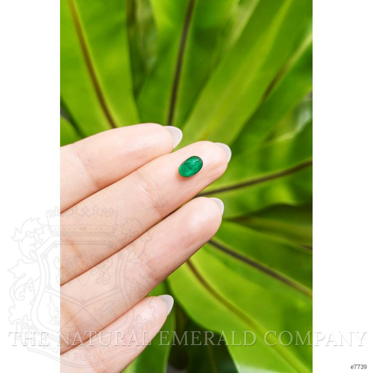0.80 Ct. Cabochon Emerald from Pakistan
