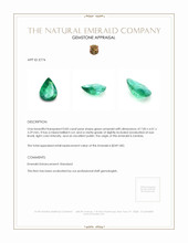 0.83 Ct. Emerald from Zambia Appraisal