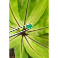 1.16 Ct. Cabochon Emerald from Pakistan Life Style