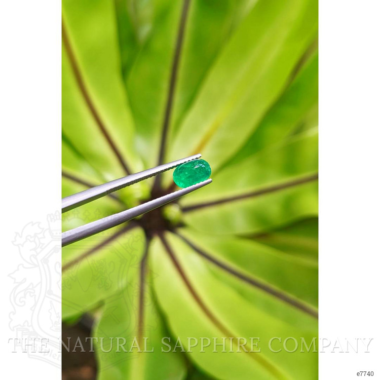 1.16 Ct. Cabochon Emerald from Pakistan