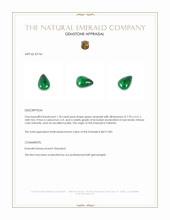 1.18 Ct. Cabochon Emerald from Pakistan Appraisal