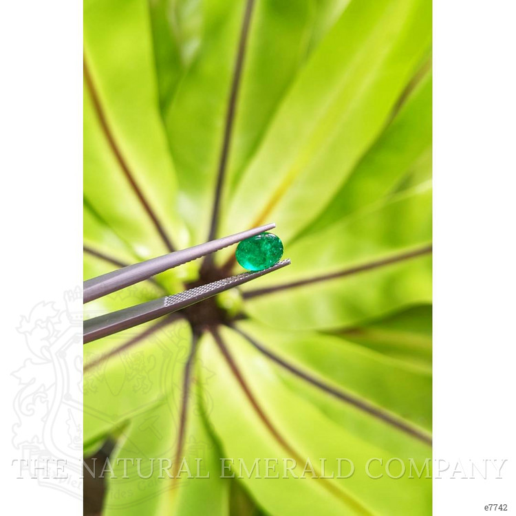 1.30 Ct. Cabochon Emerald from Pakistan