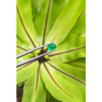 1.30 Ct. Cabochon Emerald from Pakistan Life Style