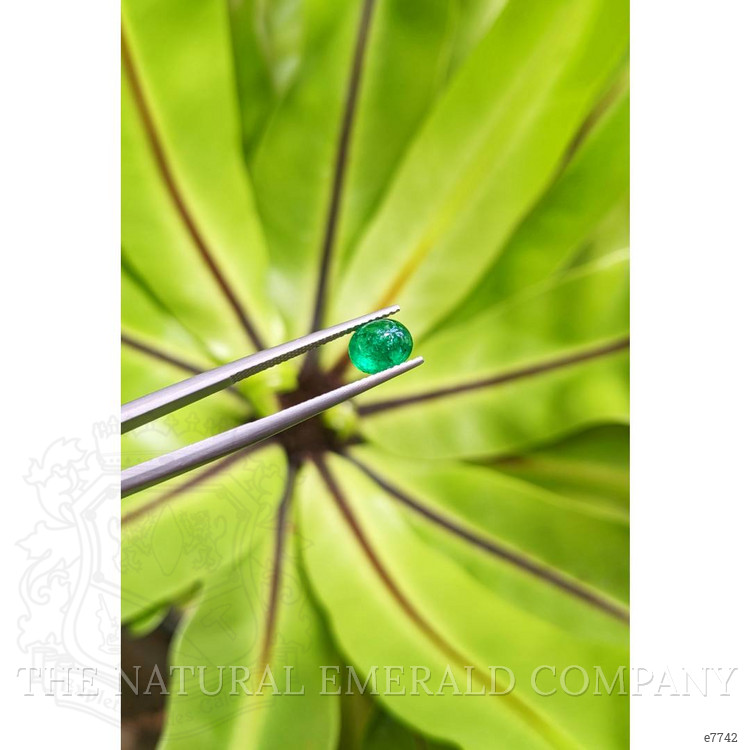 1.30 Ct. Cabochon Emerald from Pakistan