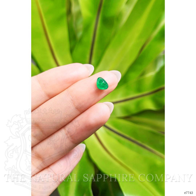 0.83 Ct. Cabochon Emerald from Pakistan