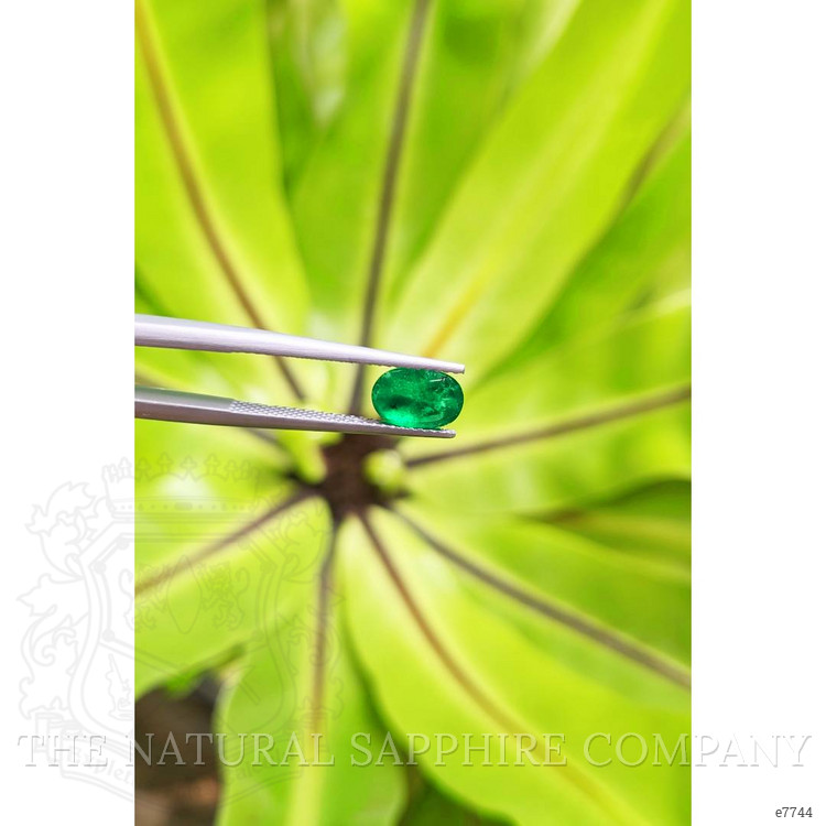 1.35 Ct. Cabochon Emerald from Pakistan