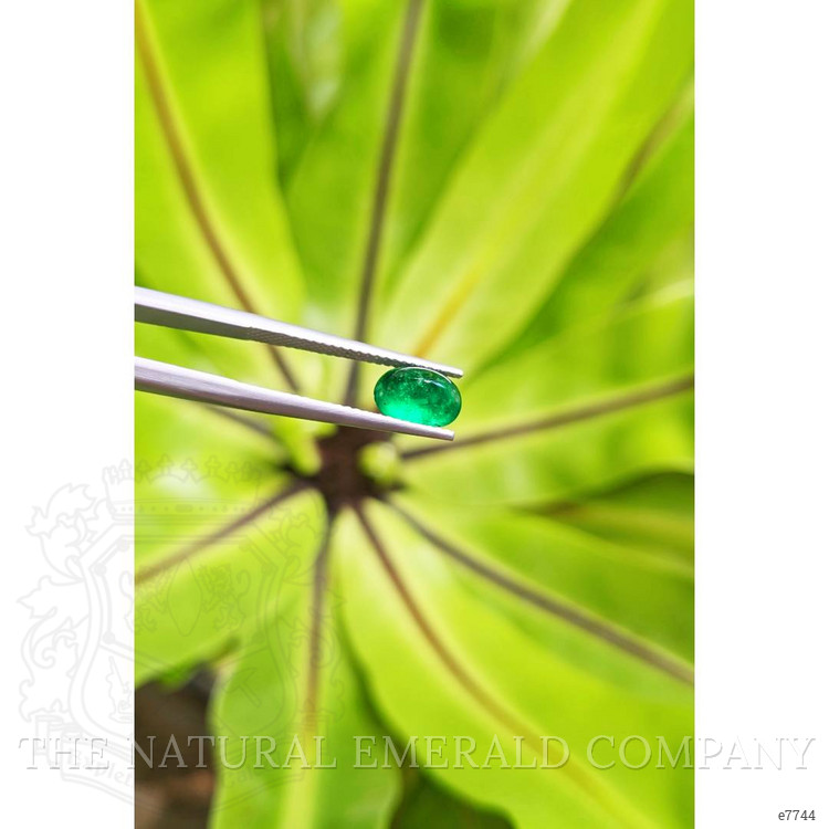 1.35 Ct. Cabochon Emerald from Pakistan