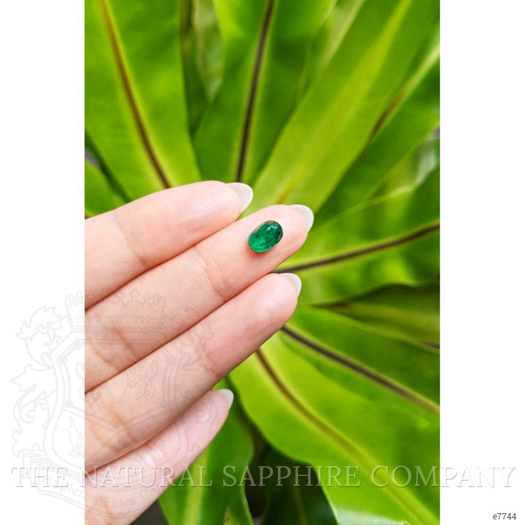 1.35 Ct. Cabochon Emerald from Pakistan