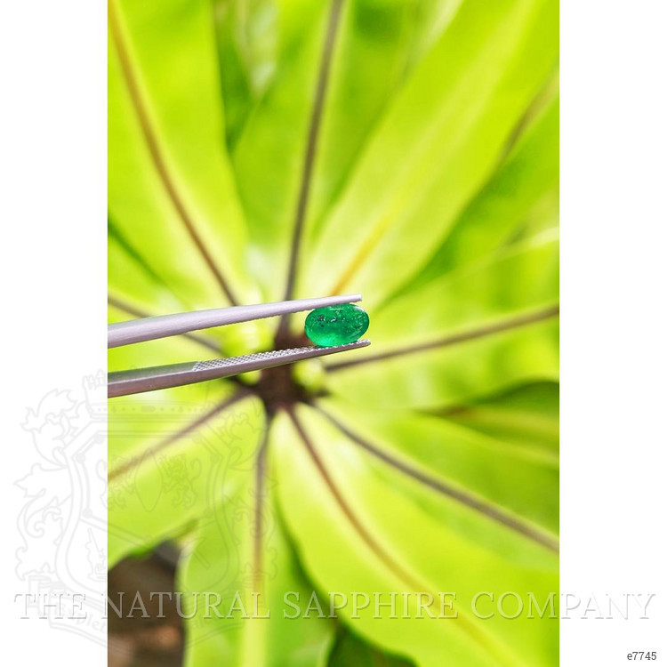 0.78 Ct. Cabochon Emerald from Pakistan