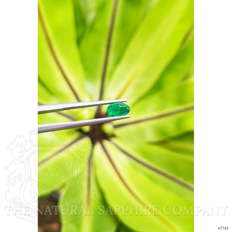 0.78 Ct. Cabochon Emerald from Pakistan