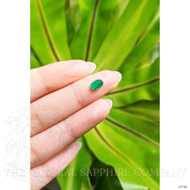 0.78 Ct. Cabochon Emerald from Pakistan