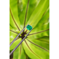 1.10 Ct. Cabochon Emerald from Pakistan Life Style