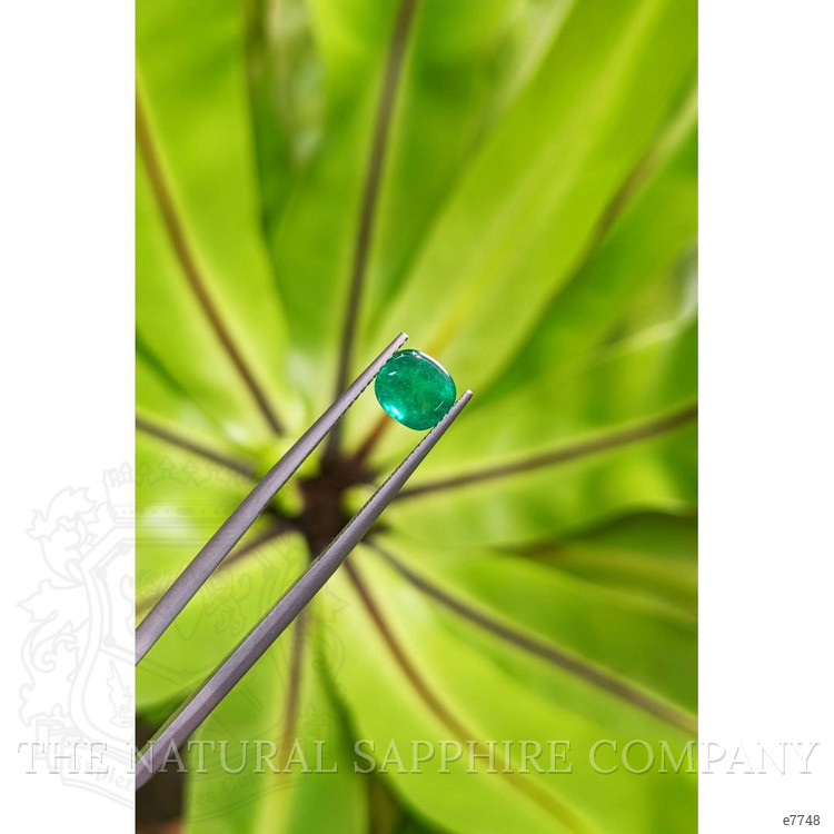 1.10 Ct. Cabochon Emerald from Pakistan