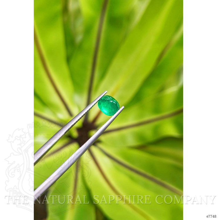 1.10 Ct. Cabochon Emerald from Pakistan