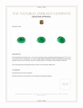 1.46 Ct. Cabochon Emerald from Pakistan Appraisal