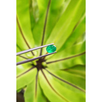1.46 Ct. Cabochon Emerald from Pakistan Life Style