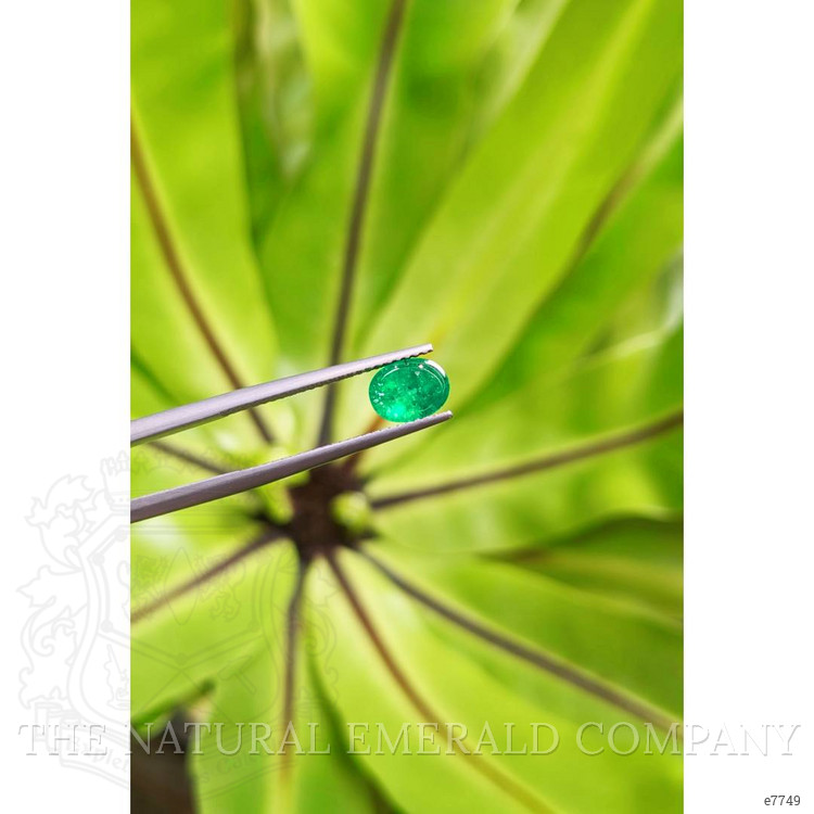 1.46 Ct. Cabochon Emerald from Pakistan