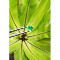 1.46 Ct. Cabochon Emerald from Pakistan Life Style