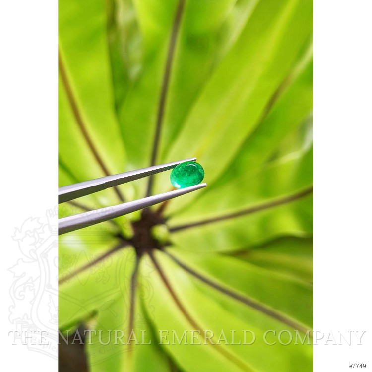 1.46 Ct. Cabochon Emerald from Pakistan