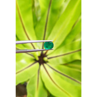 1.18 Ct. Cabochon Emerald from Pakistan Life Style