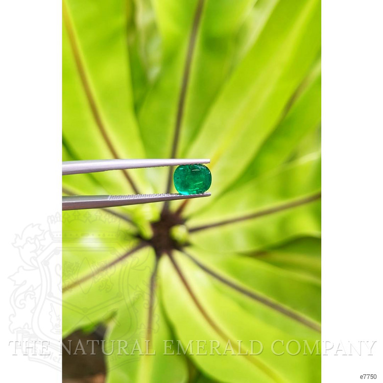 1.18 Ct. Cabochon Emerald from Pakistan
